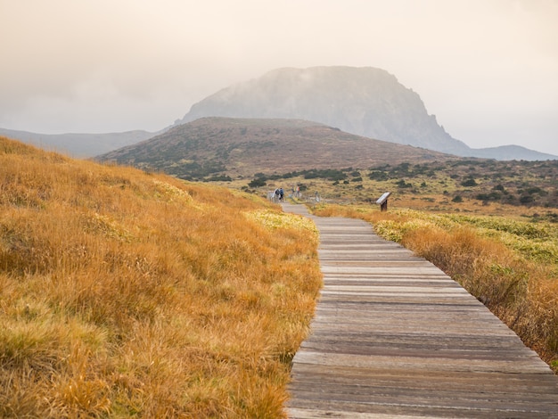 Hallasan górski park narodowy na wyspie Jeju