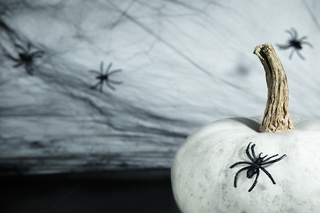 Zdjęcie halloween mistyczne ciemne tło. biała dynia z pięknym ogonem na tle pajęczyny z pająkami. koncepcja na tle halloween, pocztówka, baner. skopiuj miejsce