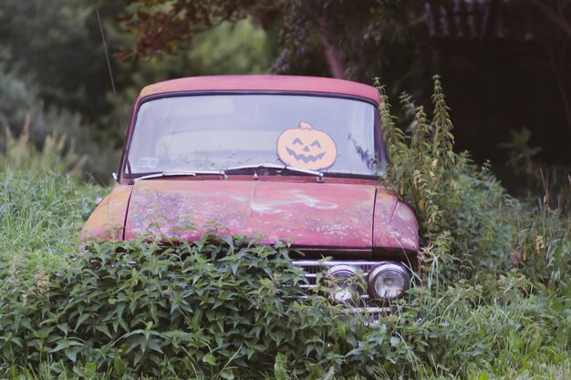 Zdjęcie halloweenowa dekoracja na starym zardzewiałym samochodzie w dzikich krzakach pokrzywy. pomarańczowy papierowy wystrój dyni na zewnątrz.