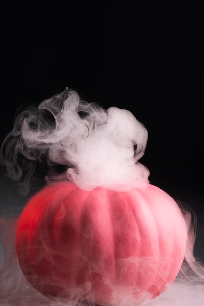 Zdjęcie halloweenowa dynia różana z dymnym różem