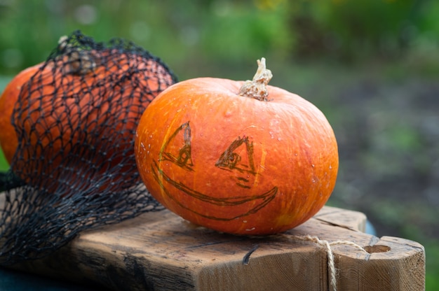 Halloweenowa straszna dynia z uśmiechem w jesiennym ogrodzie. Przygotowanie do świętowania. Przygotowanie dyni na halloween. Latarnia z dyni. Robienie dekoracji z dyni na Halloween.