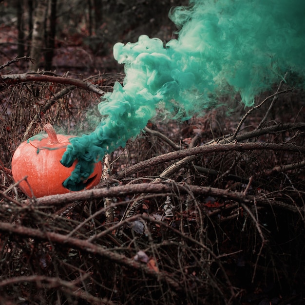 Halloweenowe banie w strasznym jesiennym lesie