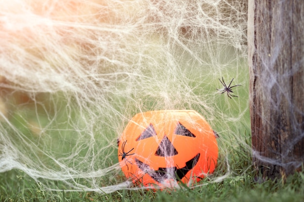 Halloweenowy Słoik Cukierków Z Dyni Z Przerażającym Uśmiechem Na Trawie Natura Pająki Sieć Happy Halloween Koncepcja