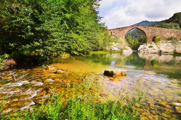 Halna Rzeka Z średniowiecznym łukowatym Mostem W Pyrenees