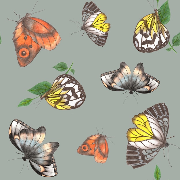 HandDrawn bezszwowy wzór szarych i żółtych kolorowych motyli o różnych rozmiarach na szarym tle