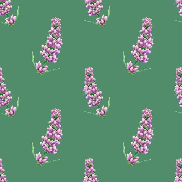 Handdrawn kwiaty lawendy wzór Akwarela fioletowy bukiet lawendy na zielonym tle