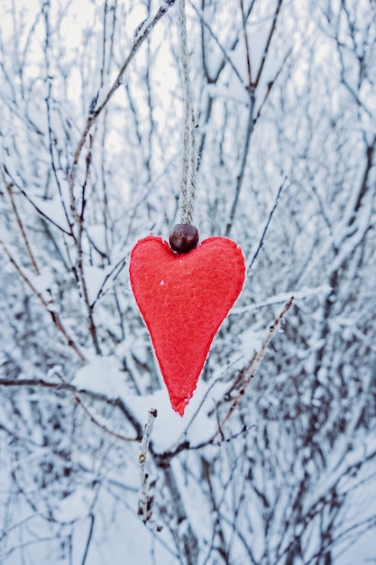 Handmade Czerwony Wełniany Odczuwany Kierowy Obwieszenie Na śnieżnej Gałąź