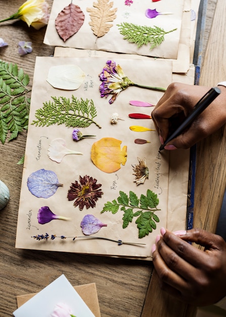 Zdjęcie hands writing szczegóły suszonych kwiatów collection w notatniku handmade work hobby