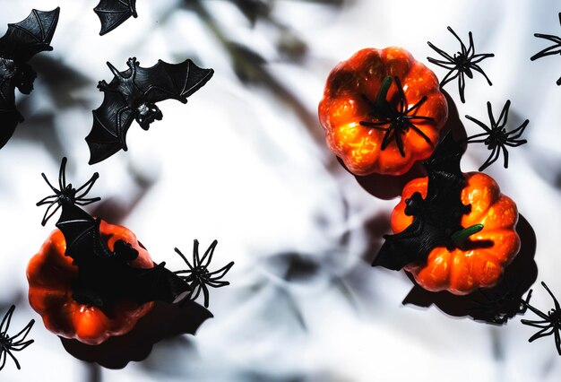 Happy Halloween białe tło z dyniami nietoperze pająki z kopią miejsca Twarde światło i ostre cienie