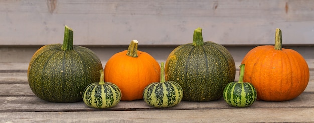 Happy Halloween kartkę z życzeniami. Jasna pomarańczowa dynia. Naturalne ozdoby do zbioru warzyw.