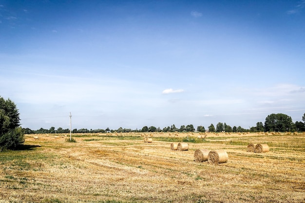 Zdjęcie haystack na lato pole z niebieskim niebem.