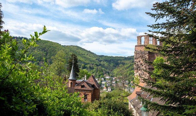 Heidelberg Średniowieczne Stare Miasto Panoramiczny widok z góry pomarańczowego dachu budynku Niemcy natura