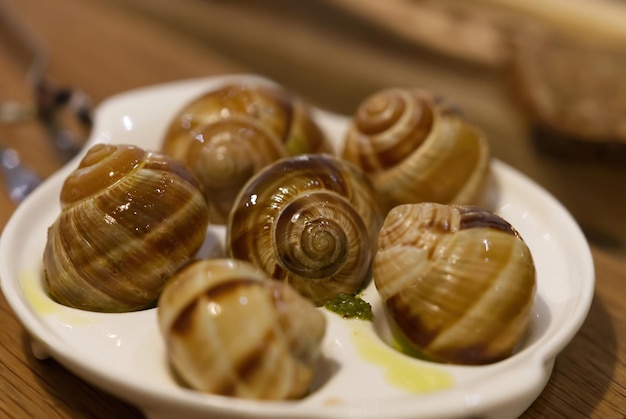 Helix Aspersa Muller Danie ślimaka W Restauracji ślimaki Jadalne Z Masłem I Przyprawami