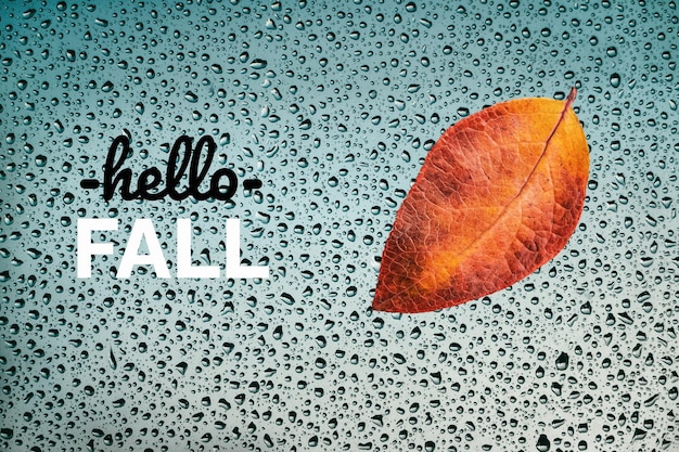 Hello Fall karta z jesiennym liściem na mokrym oknie i tekstem powitania