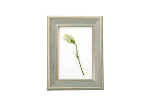 Herbarium PNG i drewniana ramka fotograficzna izolowana na białym tle
