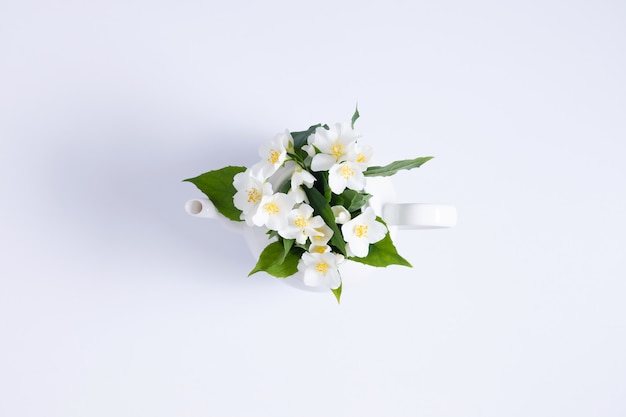 Herbata jaśminowa i kwiatyCzajnik z kwiatami jaśminu na białym tle Płaski lay
