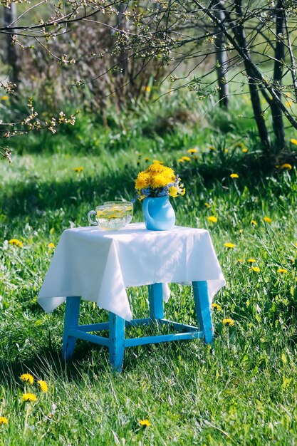 Zdjęcie herbata ziołowa w szklanej filiżance dandelion kwitnie w ceramicznym dzbanku