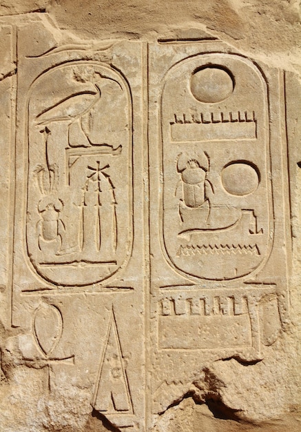 Hieroglify starożytnego egiptu na ścianie