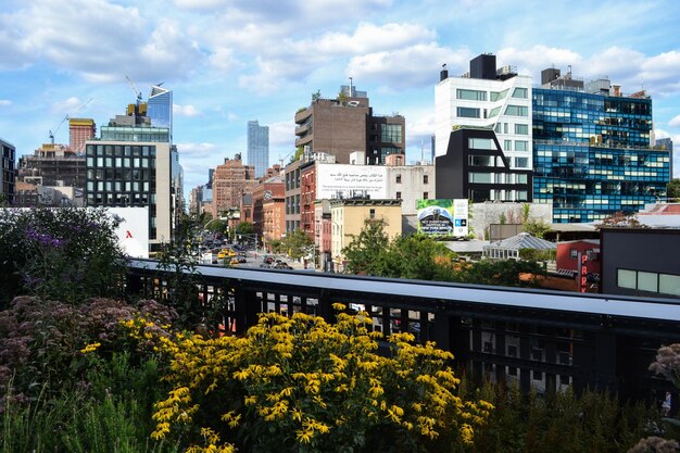 Zdjęcie high line, manhattan, nowy jork, usa