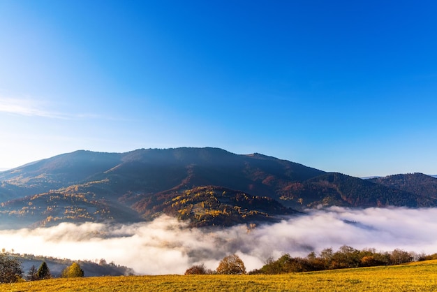 Highland Z Gigantycznymi Górami Leśnymi I Trawiastymi Wzgórzami Otoczonymi Gęstą Mgłą Pod Błękitnym Niebem W Jasny Słoneczny Poranek Jesienią