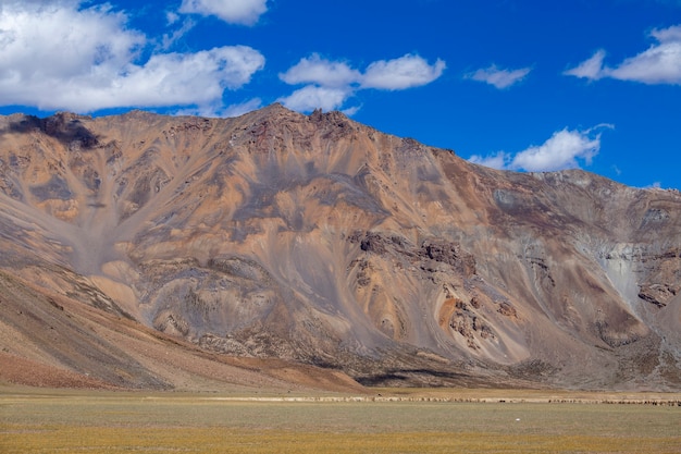 Himalajski krajobraz górski wzdłuż autostrady Leh do Manali w Indiach. Majestatyczne góry skaliste w indyjskich Himalajach, regionie Ladakh, Dżammu i Kaszmiru, Indie. Koncepcja przyrody i podróży