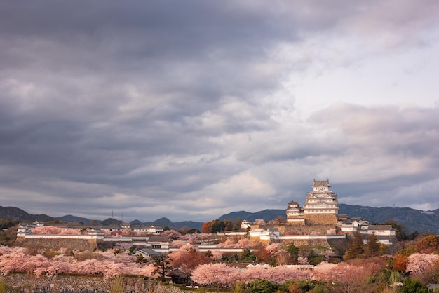 Himeji Japan w zamku Himeji w sezonie wiosennym