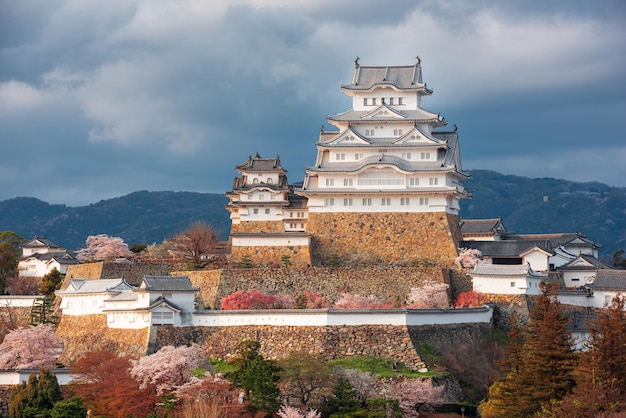 Himeji Japan w zamku Himeji w sezonie wiosennym