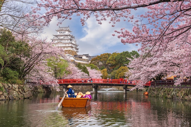 Himeji Japonia w zamku Himeji wiosną