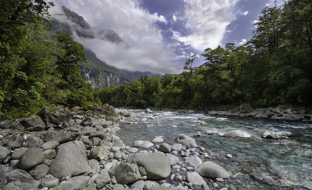 Hipnotyzujący widok na rzekę przepływającą przez skały przez las pod malowniczym niebem