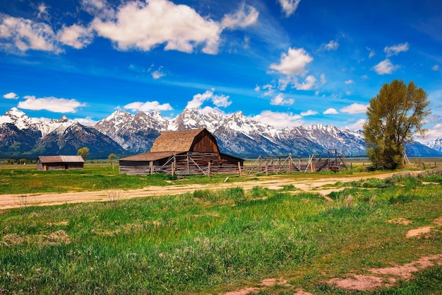 Historyczna stodoła Johna Moultona przy Mormon Row w Parku Narodowym Grand Teton Wyoming