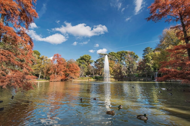 Hiszpania, Madryt, Park Retiro jesienią