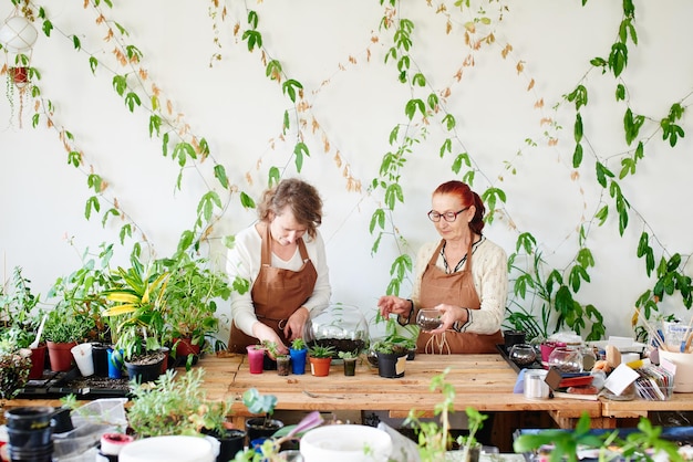 Hobby dla kobiet. Kwiaciarnie botaniczne dla mamy i córki dbają o rośliny domowe i kwiaty