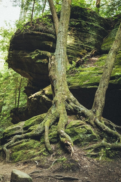 Zdjęcie hocking hills state park w ohio