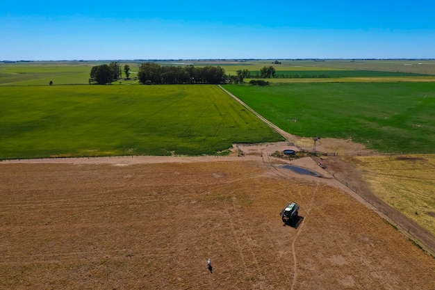 Hodowla bydła na terenach wiejskich pampasów, prowincja La Pampa, Argentyna