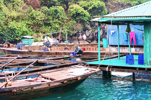 Hodowla ostryg w pływającej wiosce rybackiej w zatoce Ha Long, Wietnam
