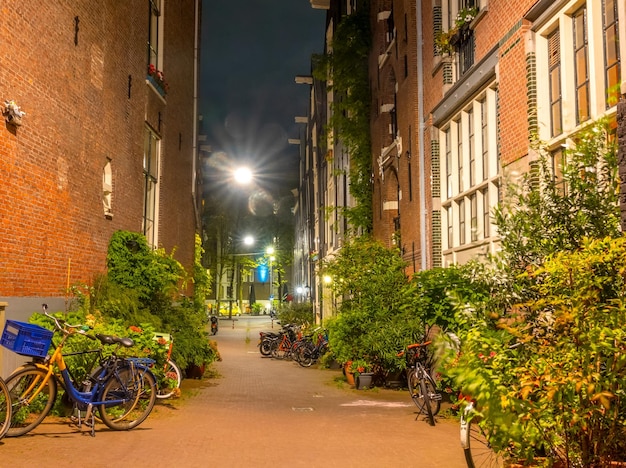 Holandia Letnia noc w Amsterdamie Dużo zaparkowanych rowerów w małej uliczce Dużo zielonych krzewów i kwiatów