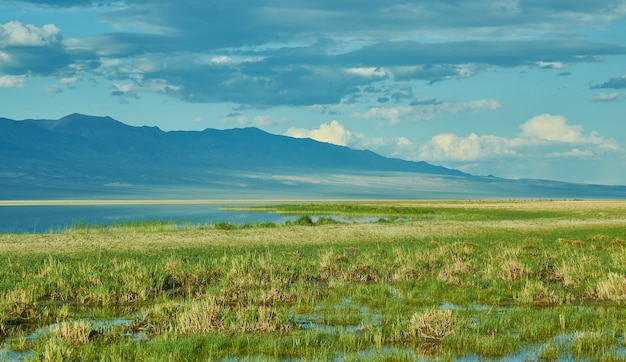 Holboo nuur, słone jezioro w Mongolii