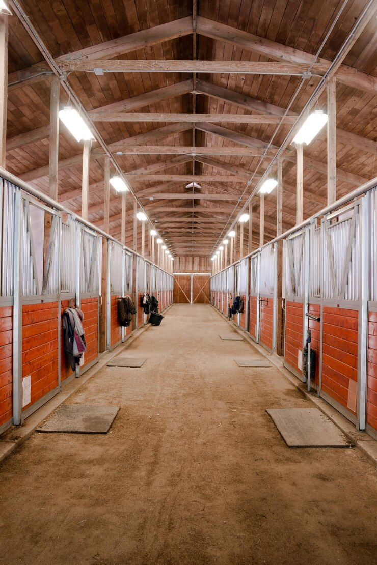 Zdjęcie horse barn animal sport paddock equestrian ranch stajnia wyścigowa