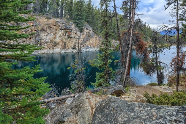 Horseshoe Lake Park Narodowy Jasper Alberta Kanada