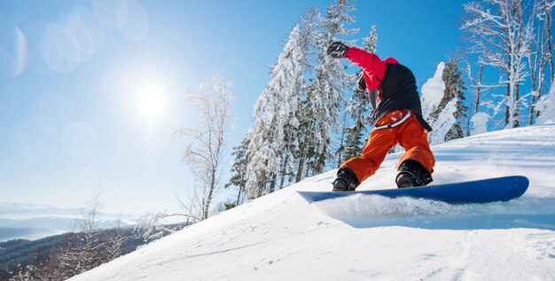 Horyzontalny Niski Kąt Strzelał Męski Snowboarder Jedzie Skłon Na Pogodnym Zimowym Dniu W Górach. Las, Błękitne Niebo I Słońce.