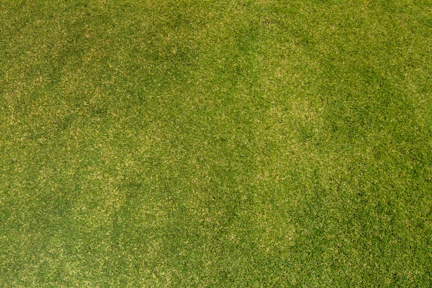 Horyzontalny widok bezszwowa zielonej trawy tekstura.