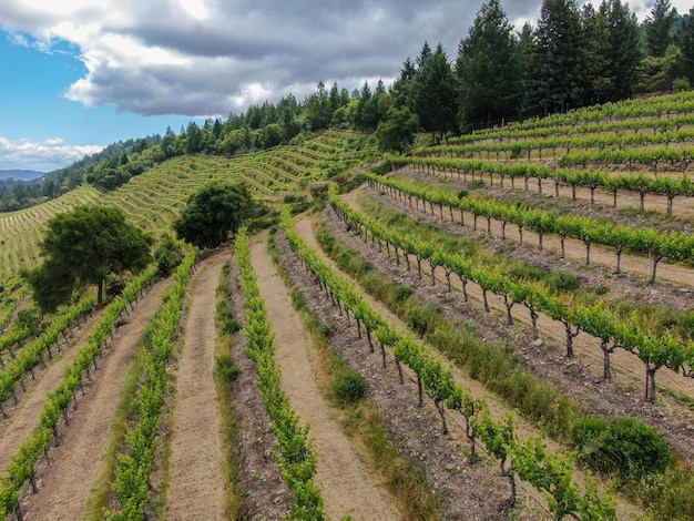 Hrabstwo Napa w kalifornijskim Kraju Wina, część regionu North Bay w San Francisco