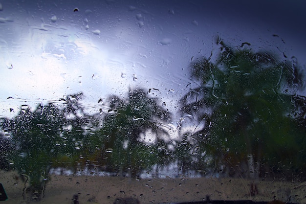 Huraganowi tropikalni burza drzewka palmowe z wewnątrz samochodu