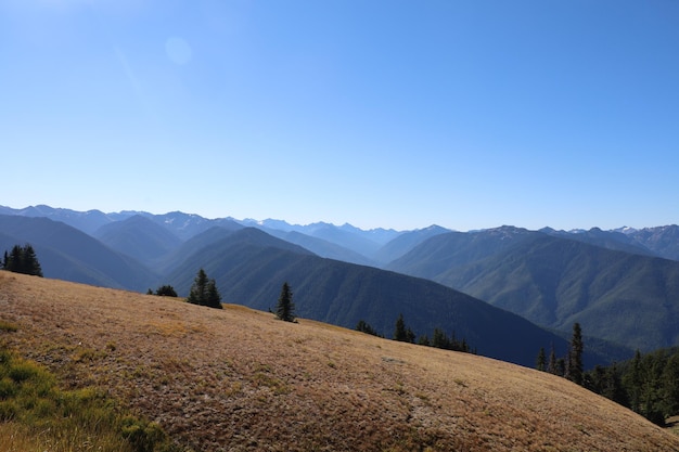 Hurricane Ridge w Olimpijskim Parku Narodowym w Waszyngtonie