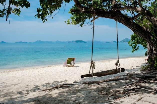 huśtawka pod drzewem na plaży wyspy Ko Kham Sattahip Chonburi Samaesan Tajlandia