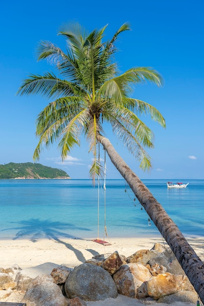 Huśtawka powiesić z palmy kokosowej nad piaszczystą plażą w pobliżu niebieskiej wody morskiej na wyspie Koh Phangan, Tajlandia. Koncepcja lato, podróże, wakacje i wakacje