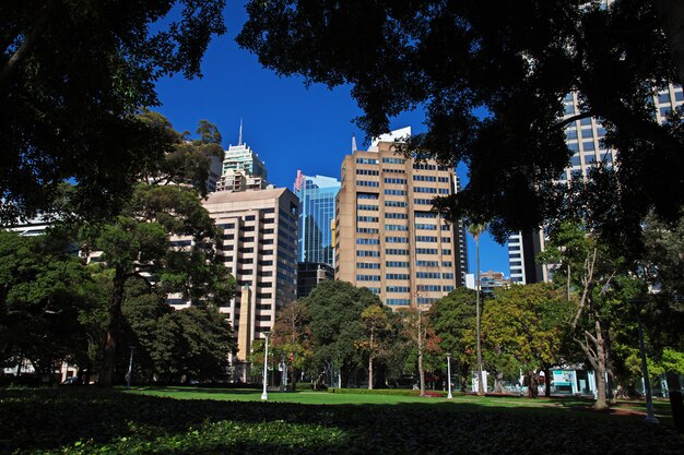 Hyde park w centrum Sydney