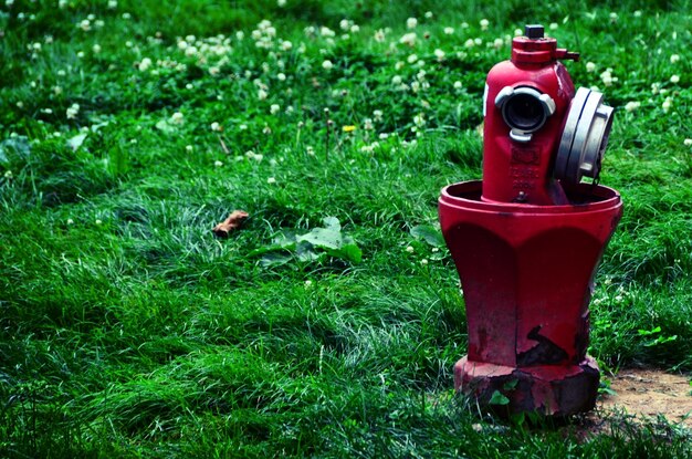 Zdjęcie hydrant przeciwpożarowy na trawiastym polu