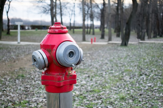 Zdjęcie hydrant