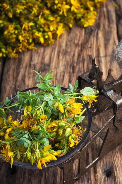 Hypericum flower.Herbal medicine.